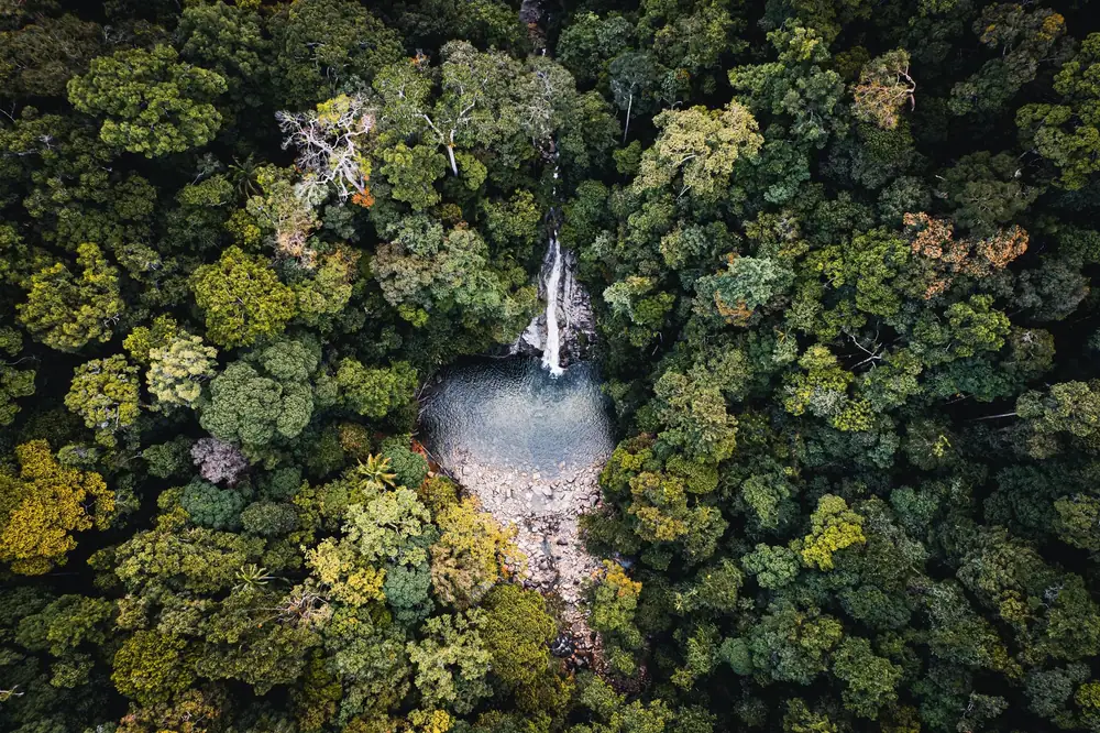 Vue aérienne d'une canopée forestière et d'une cascade